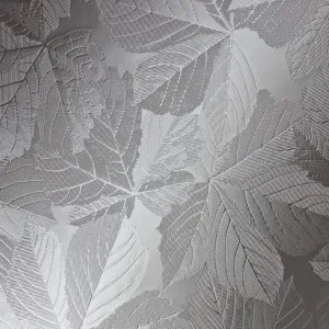 Sycamore