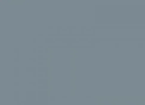 Squirrel Grey